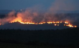 Bulgaristan’daki yangın Edirne’nin sınır köylerine dayandı