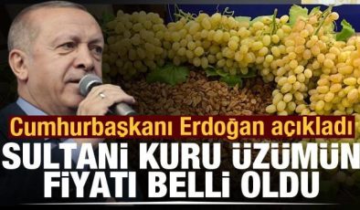 Erdoğan açıkladı: Sultani çekirdeksiz kuru üzümün alım fiyatı 27 TL oldu