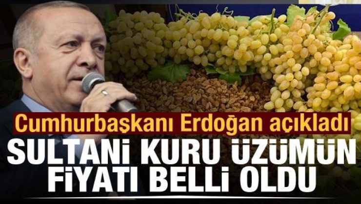 Erdoğan açıkladı: Sultani çekirdeksiz kuru üzümün alım fiyatı 27 TL oldu