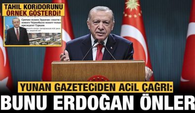 Yunan gazeteciden acil çağrı: 2. Çernobil felaketini Erdoğan önleyebilir