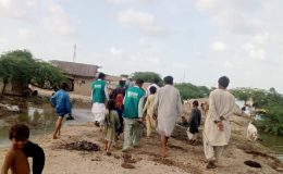 İDDEF’ten Pakistan’a Yardım Kampanyası